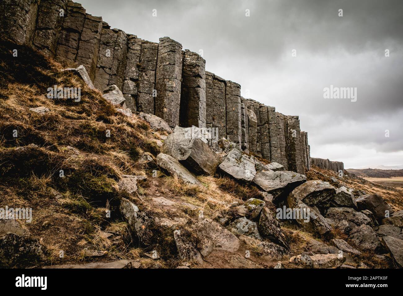 Gerduberg Basaltsäulen in Snaefellsnes; Island Stockfoto