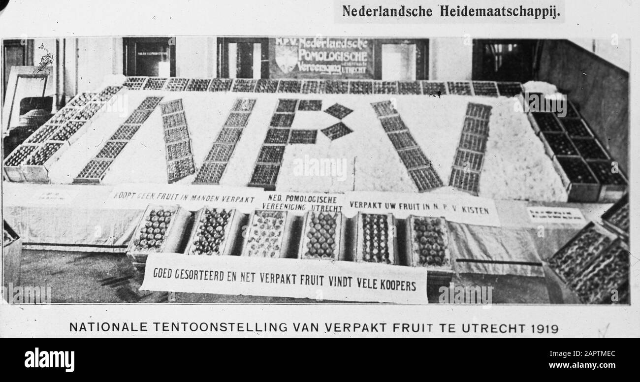 Verpacktes Obst Datum: Undatierte Stichwörter: Obstanbau Stockfoto