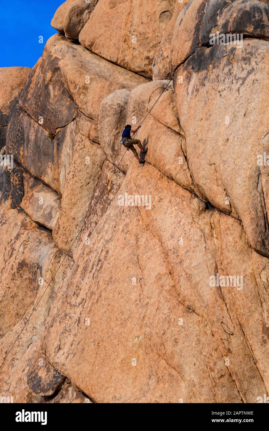 Joshua Tree National Park California USA. Climber Intersection Rock im 150 Meter hohen monzoniten Joshua Tree National Park. Stockfoto