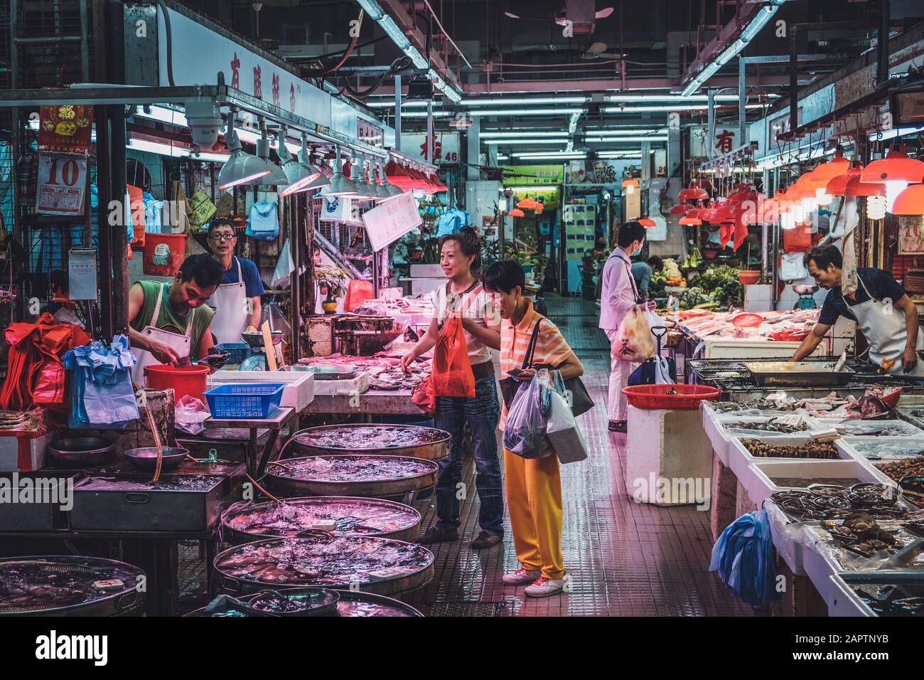 Hongkong - November 2019: Menschen kaufen und verkaufen Fisch auf dem Fischmarkt in Hongkong Stockfoto