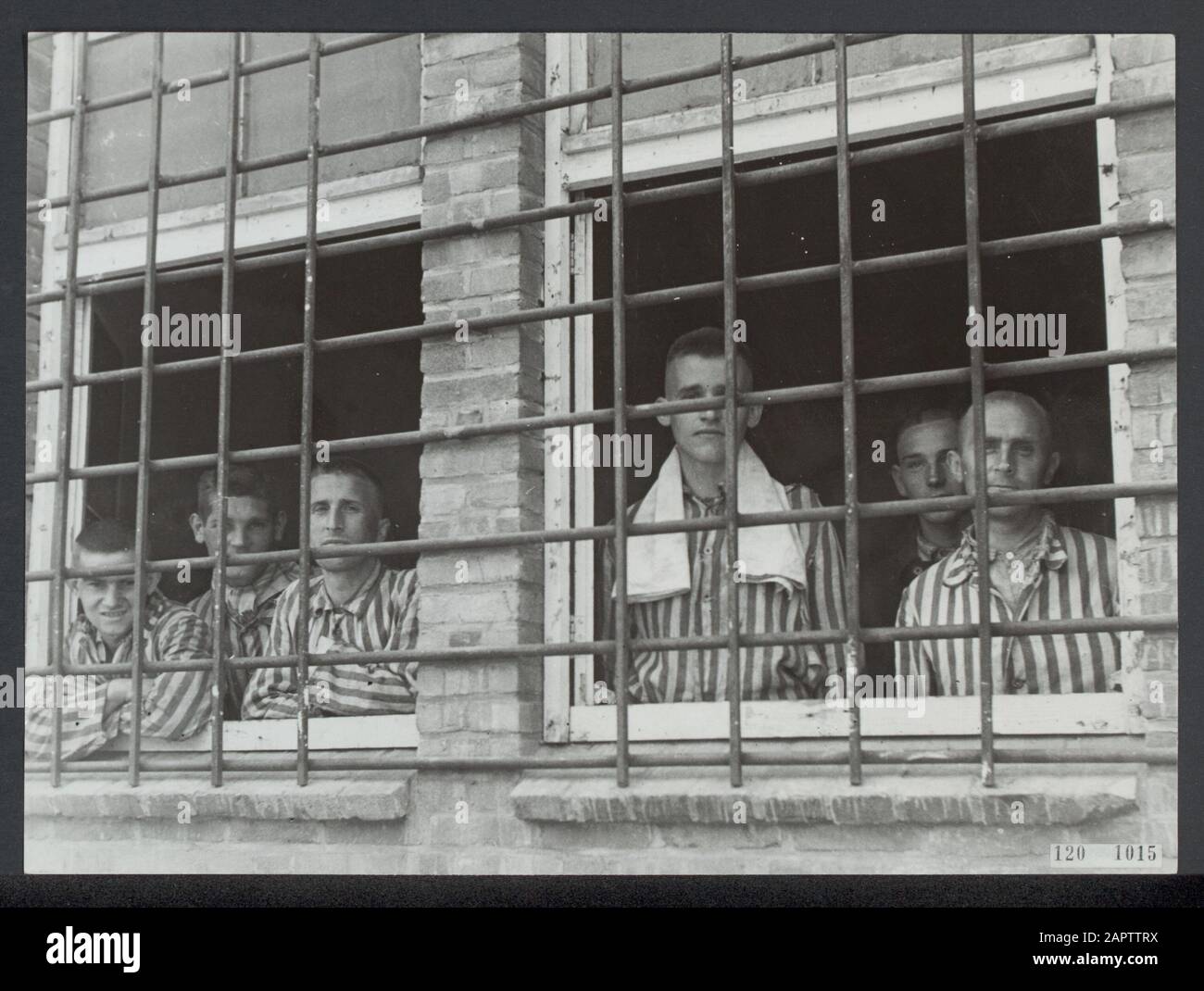 Im Straflager in Vught sitzen 7000 niederländische Kollaborateure und Verräter im Gefängnis. Soldaten der niederländischen Stoottroopers sind für die Garde zuständig, insbesondere für die 300 niederländischen SS-Männer. Unter der Führung des Lagerkommandanten, Major L. Mennes, und seiner Helfer werden diese Häftlinge verwendet, um die Umgebung von Vught von Landminen zu reinigen. Sie sind mit den blau-weiß gestreiften Gefängnispaketen der von den Deutschen gefangenen ehemaligen Holländer bekleidet. Die Häftlinge erhalten die ebenfalls reduzierte zivile Mindestration, weil alle Delikatessen beseitigt wurden. Bis zu ihrem letzten Prozess, dem Stockfoto