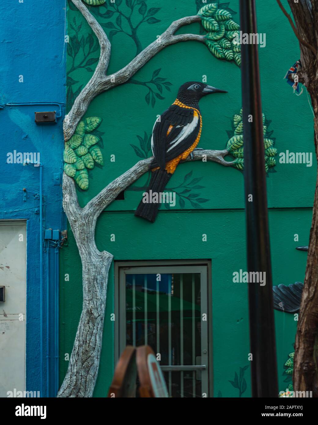 Wandkunst der Kanarenvögel Tiere und Pflanzen in einem Café versteckt zwischen Gassen. Stockfoto