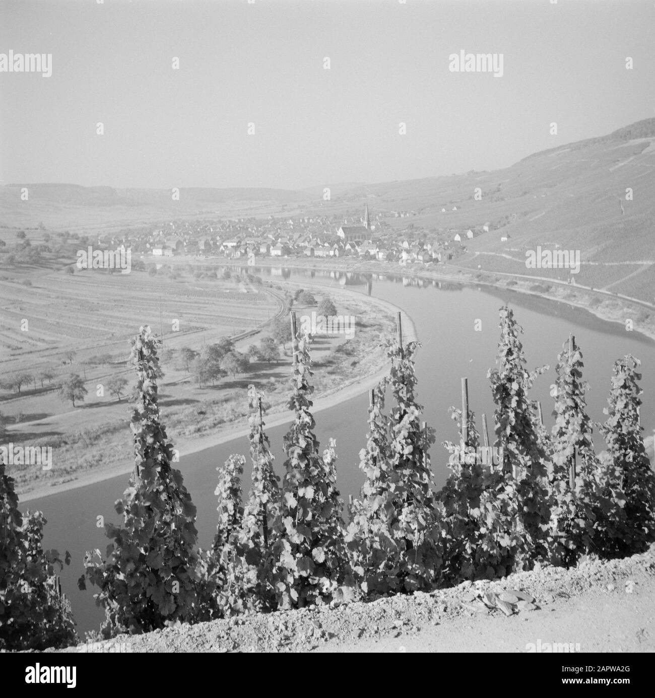 Mosel Kröv von einem Weinberg aus gesehen Datum: 1959 Standort: Deutschland, Rheinland-Pfalz, Westdeutschland Stichwörter: Dorfbilder, Hügel, Panoramas, Flüsse, Weinanbau Stockfoto