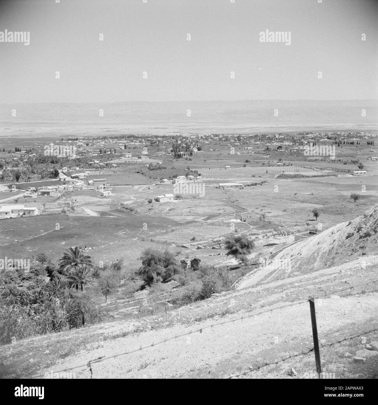 Naher Osten 1950-1955: Landschaft Jordanien in der Nähe von Jericho. Der Wadi el Celt und der Übergang in die Ebene des Toten Meeres Anmerkung: Zum Zeitpunkt der Aufnahme war dieser Ort in Jordanien Datum: 1950 Ort: Palästina, Jericho, Jordanien Schlüsselwörter: Binnenmeere, Landschaften, Ebenen Stockfoto