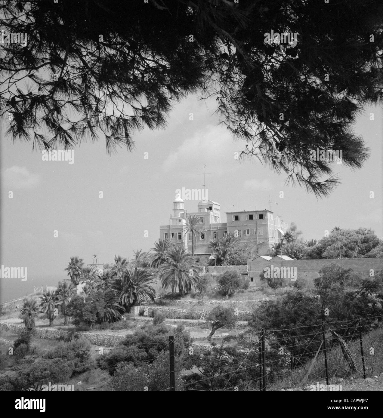 Israel 1964-1965: Haifa, Landschaftsgestaltung und Entwicklung des Metereologischen Instituts der Karmelberge vor Pflanzen und Palmen auf den Terrassen Anmerkung: Dieses Foto stammt aus dem Schatten eines Baumes aufgenommen Datum: 1964 Ort: Karmel, Haifa, Israel Schlüsselwörter: Berge, meteorologische Institute, Schatten, Terrassen Stockfoto