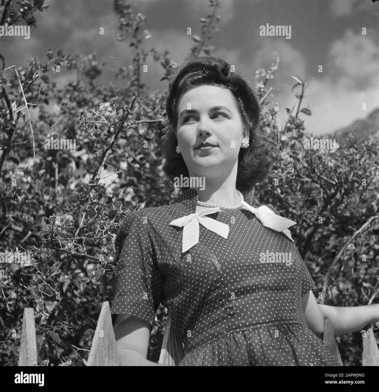 Reise nach Suriname und die niederländischen Antillen Frau Johnson, Lehrerin an der Nonnenschule unten am Saba Datum: 1947 Ort: Niederländische Antillen, Saba Schlüsselwörter: Lehrer, Porträts, Frauen Stockfoto