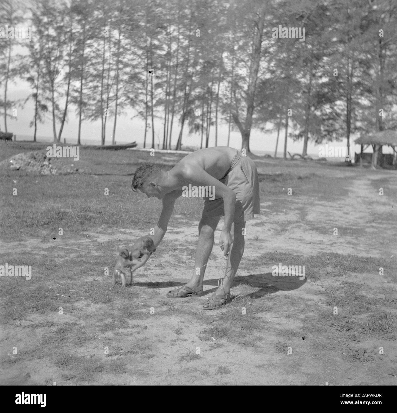 Kriegsfreiwillige in Malakka und Indonesien Militär mit zwei Affen Datum: 1946 Ort: Malakka Schlüsselwörter: Affen, Militär Stockfoto