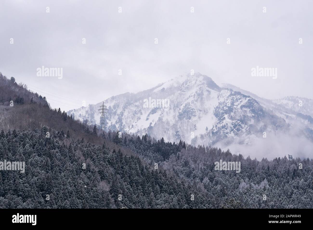 Weiße, schneebedeckte Berge und helle Wolken im Hintergrund. Dunkler, baumbedeckter verschneit Berg im Vordergrund. Stockfoto