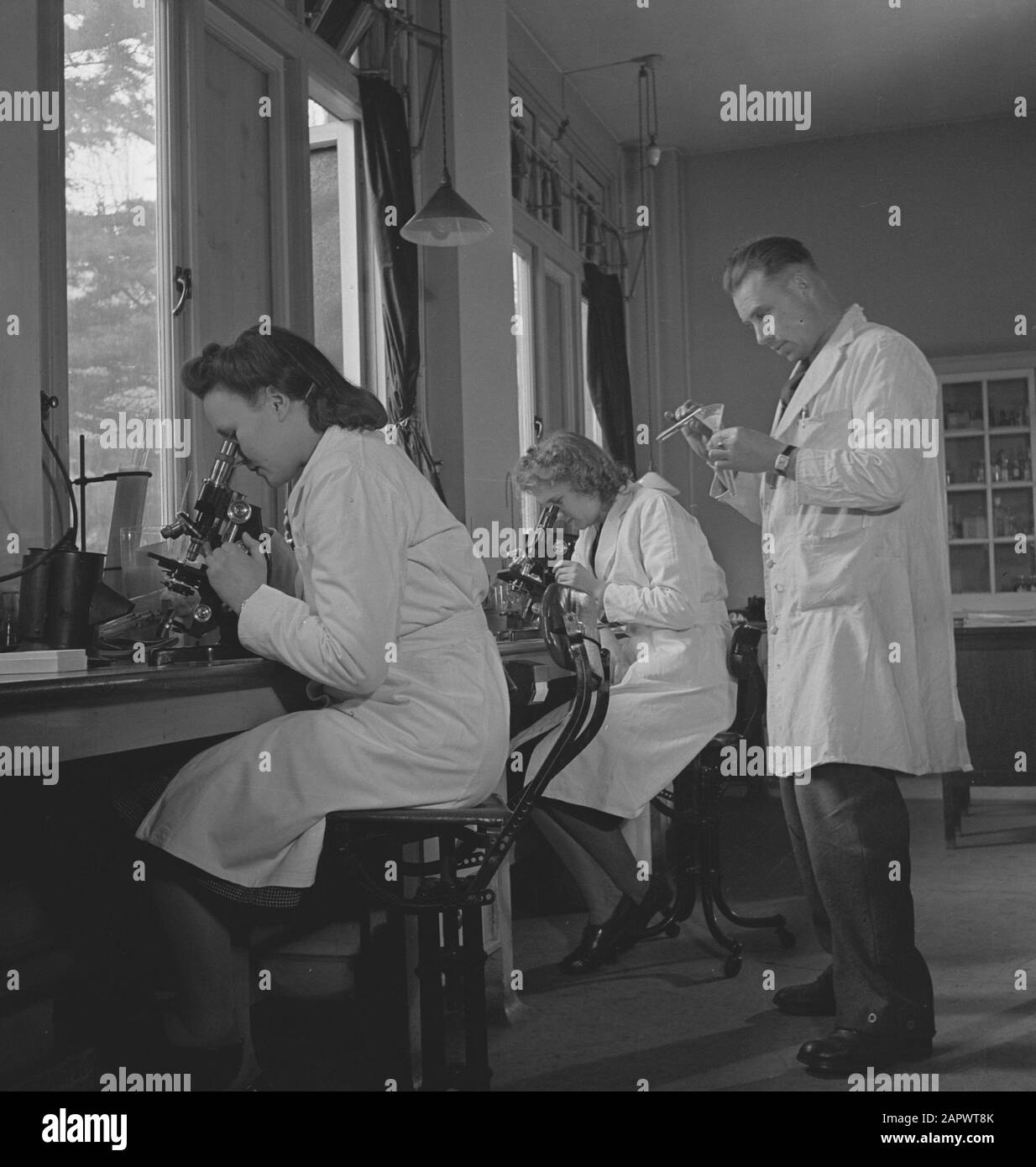 Niederländische Krankenhäuser mit niederländischem Personal [in England]. Im Labor Datum: Mai 1944 Ort: Großbritannien Schlagwörter: Labors, Armee, Soldaten, Weltkrieg Stockfoto