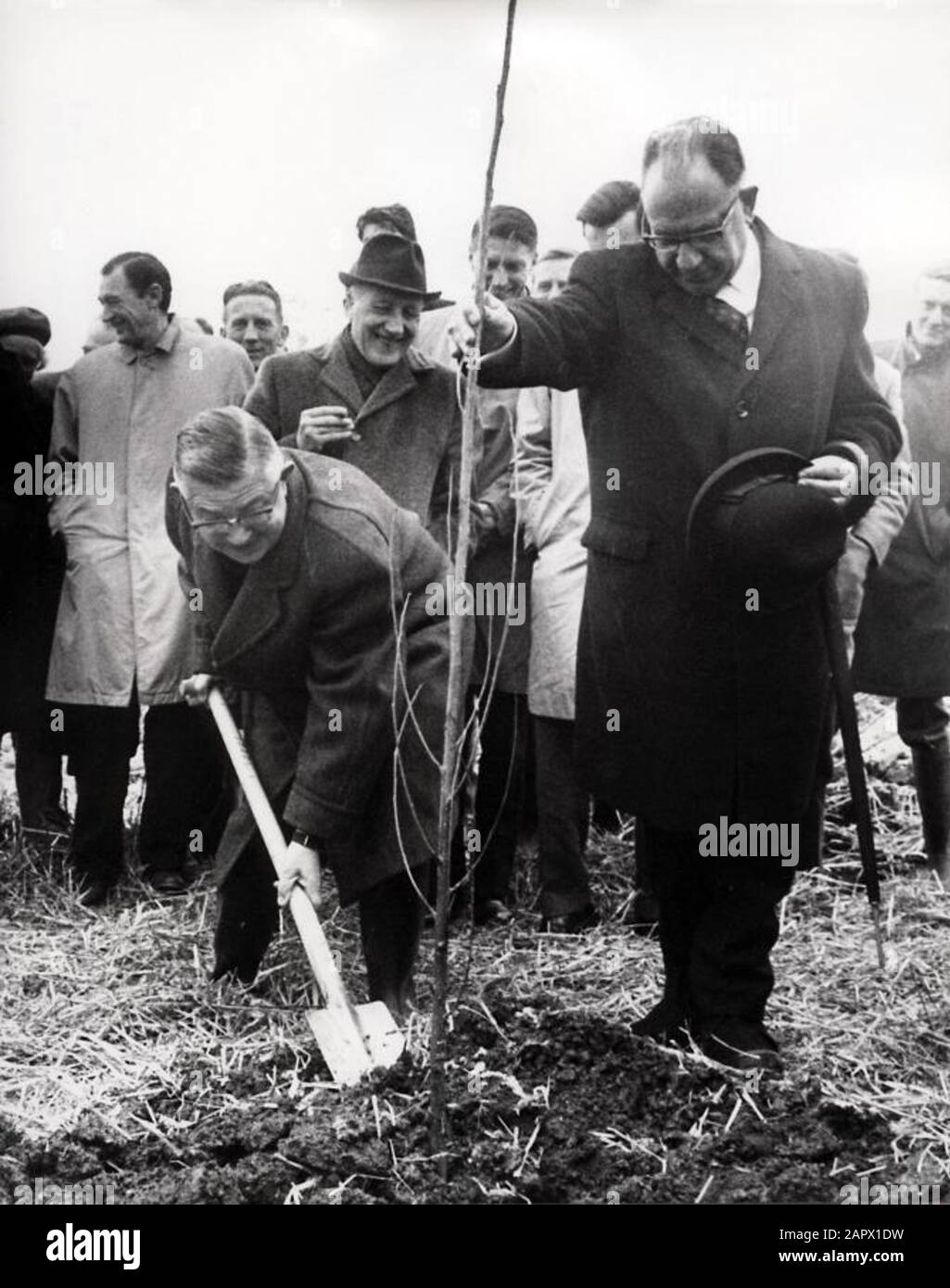 Der Staatssekretär für Kultur, Erholung und soziale Arbeit, Hein van de Poel, bei der Anpflanzung des ersten Baumes im neuen Erholungsgebiet Spaarnwoude. Deutsch: Der Stellvertende-Minister für Kultur, Freizeit und Soziales - Hein van de Poel - beim Flanzen eines Baumes im einem neuen Erholungsgebiet. Der stellvertretende Minister für Kultur, Erholung und soziale Fürsorge, Hein van de Poel, indem er drei in einem neuen Erholungsgebiet anpflanzte. Stockfoto