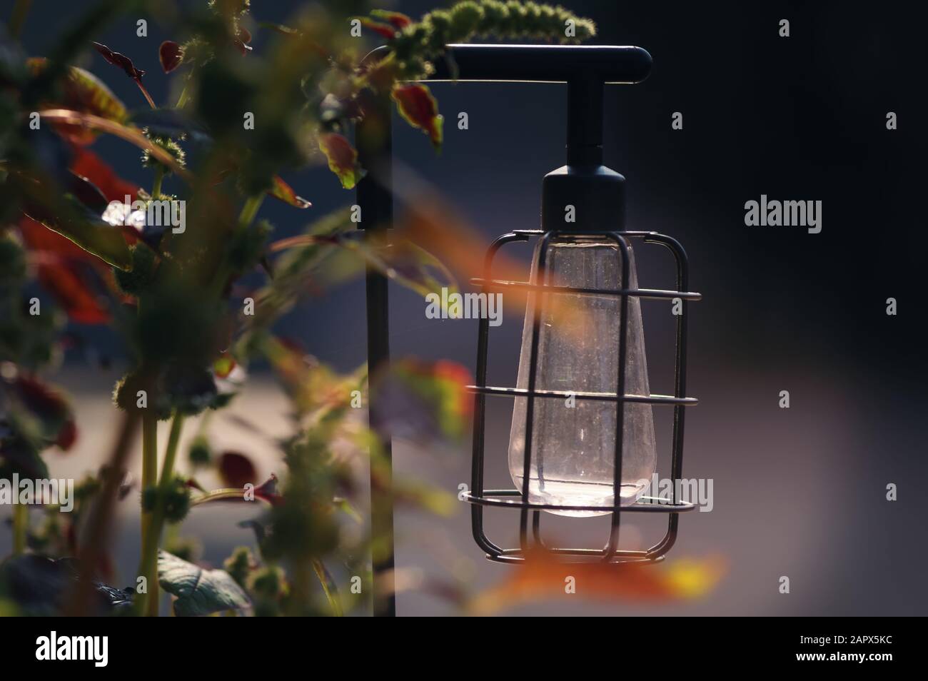 Die Laterne im Vintage-Stil im Garten Stockfoto