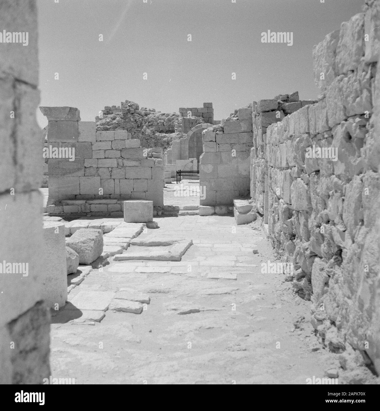 Israel: Negevwüste, Avhet (Ovhet) Überreste der antiken Stadt Avhet. Ruine der St.-Theodorus-Kirche: Anmerkung zur Eingangspartei: Die Stadt Amat wurde im ersten Jahrhundert v. Chr. gegründet und bei einem Erdbeben im siebten Jahrhundert nach Christus völlig zerstört. Avdat ist nicht mehr aufgebaut Datum: Undatierter Ort: Ardat, Israel, Negev Schlüsselwörter: Archäologie, Christenheit, Gräber, Kirchenbauten, Mauern, Tore, Ruinen, Wüsten Stockfoto