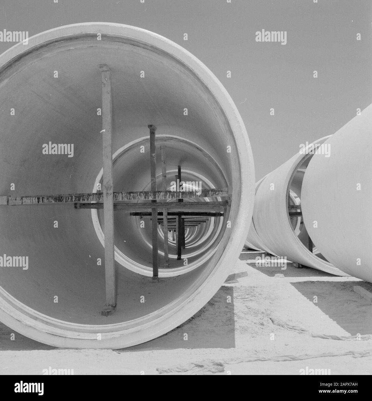 Reihe von Betonrohren, die auf dem Gelände einer Röhrenfabrik in Ashkelon trocknen. Die Röhrchen sind intern propped, um ein Absacken während des Aushärtungsvorgangs zu verhindern Datum: 1. Januar 1960 Standort: Ashkelon, Israel Schlüsselwörter: Röhrchen, Trocknen, Streben Stockfoto