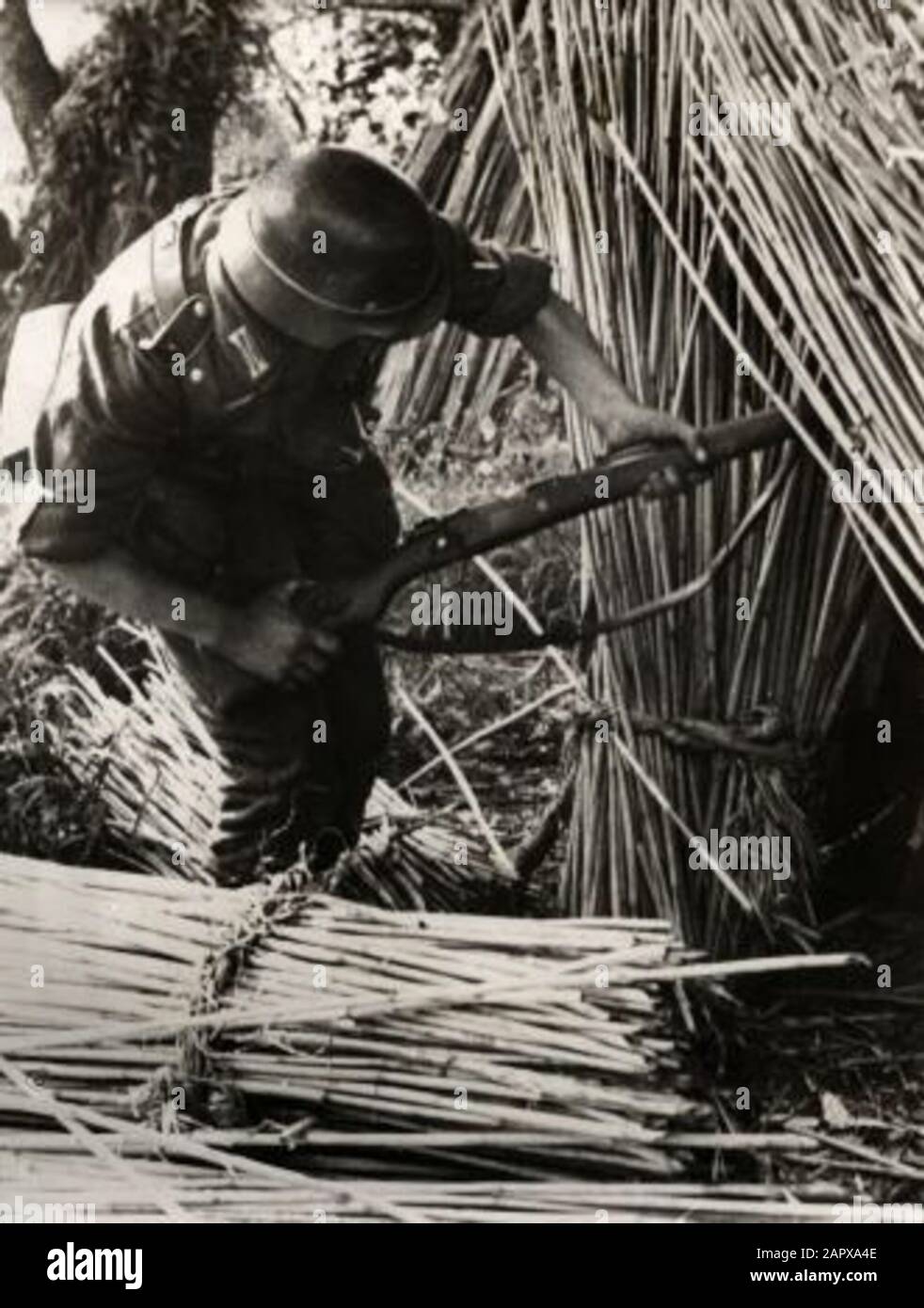 Spaarnestad Photo/SFA022803847 Weltkrieg, Ostfront Landkrieg. Ein deutscher Soldat findet während einer Patrouille entlang der Dnieper-Flussmünde eine verlassene russische Schutzhütte. Russland/Sowjetunion, Ukraine, 15. Oktober 1941; Stockfoto
