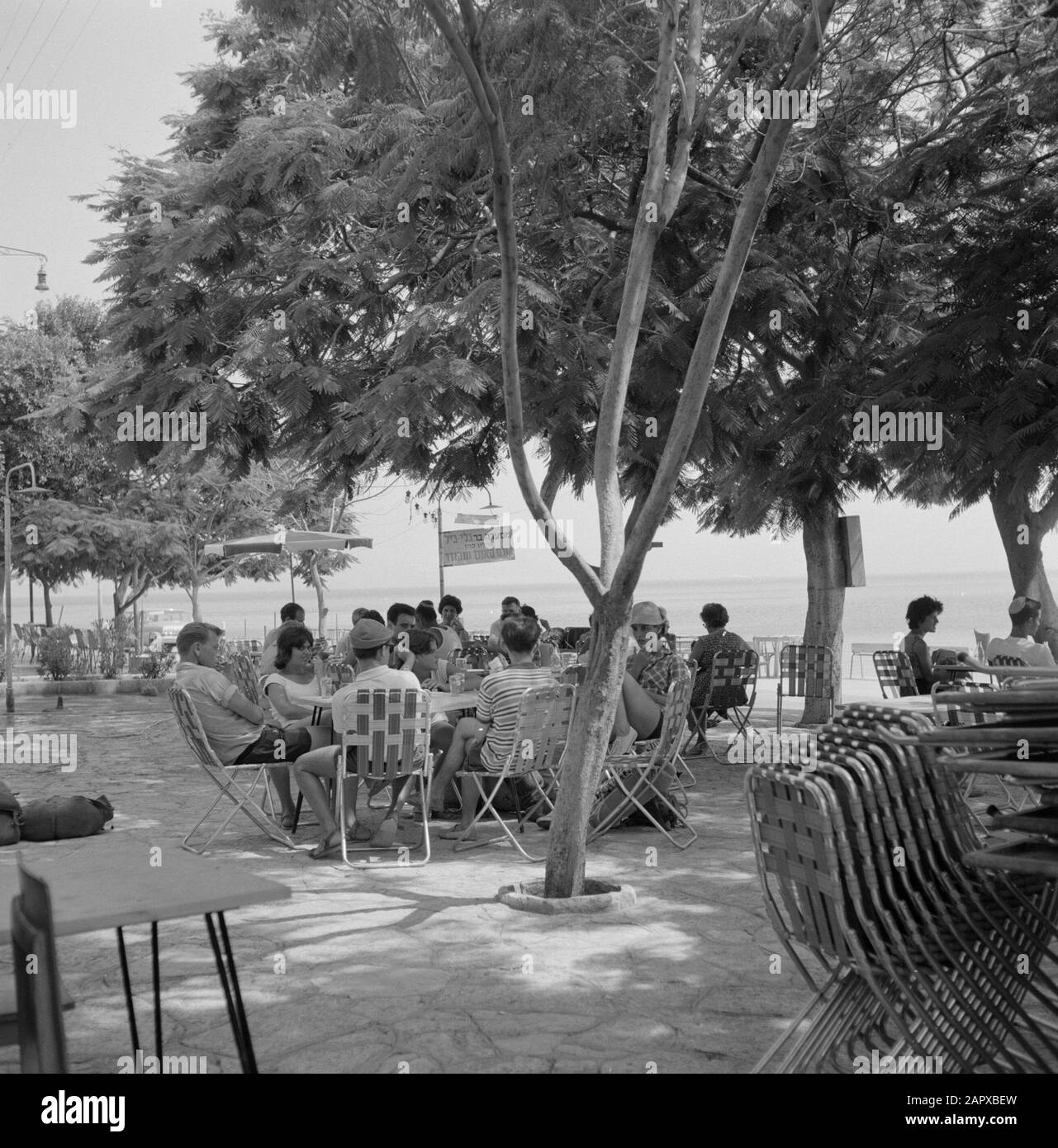 Schattige Terrasse in der Stadt Tiberias am Tiberias-See mit Gruppen von Männern und Frauen mit Getränken auf Stühlen an Tischen. Im Hintergrund ein Schild mit Aufschrift Datum: 1. Januar 1960 Ort: Israel, Tiberias-See, Tiberias-Schlüsselwörter: Bäume, Gastronomie, Öffentlichkeit, Plakate, Stühle, Terrassen Stockfoto