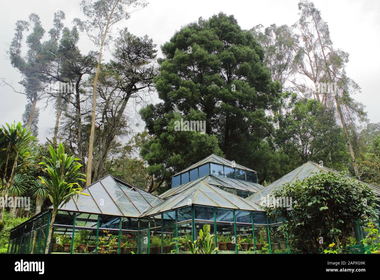 Dieses grüne Haus im bryant Park ist ein beliebter Touristenort am kodaikanal, kodaikanal Hill Station in tamilnadu, indien Stockfoto