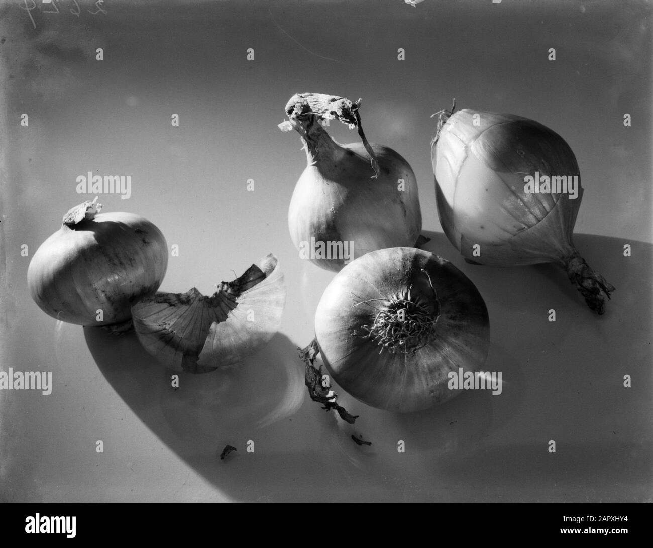 Werbefotografie Stillleben mit Zwiebeln Datum: 1932 Stichwörter: Gemüse Stockfoto