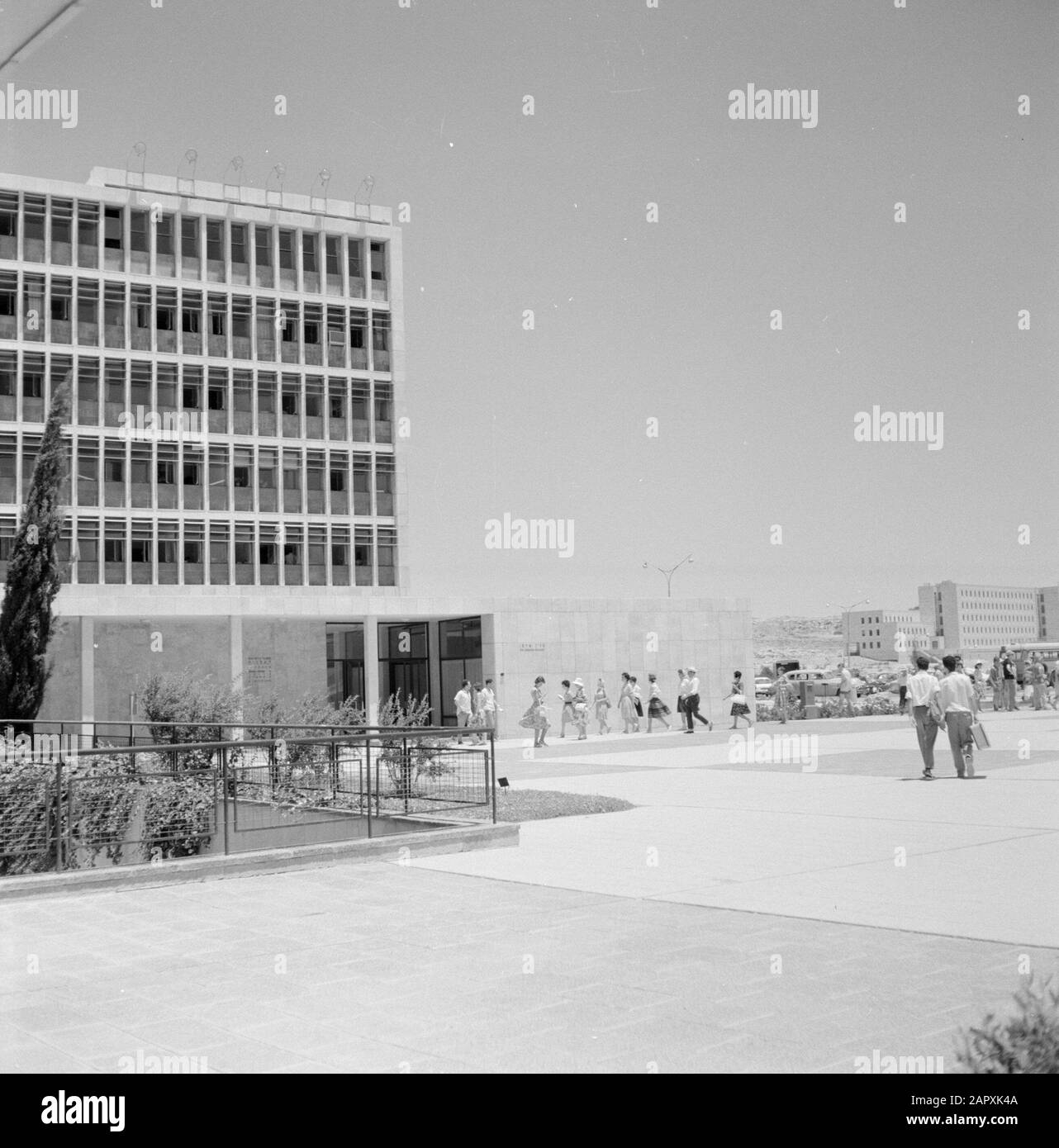 Israel 1964-1965: Jerusalem (Jerusalem), Studenten der Hebräischen Universität auf dem Campus der Hebräischen Universität in Jerusalem Anmerkung: Am 1. April 1925 wurde die Hebräische Universität Jerusalem während einer festlichen Zeremonie eröffnet, an der die Führer der Welt teilnahmen. Der erste Vorstand der Universität bestand aus Berühmtheiten wie Albert Einstein, Sigmund Freud, Martin Buber, James Rothschild und Sir Alfred Mond Datum: 1964 Ort: Israel, Jerusalem Schlüsselwörter: Campus, Gebäude, Panoramas, Studenten, Universitäten Stockfoto