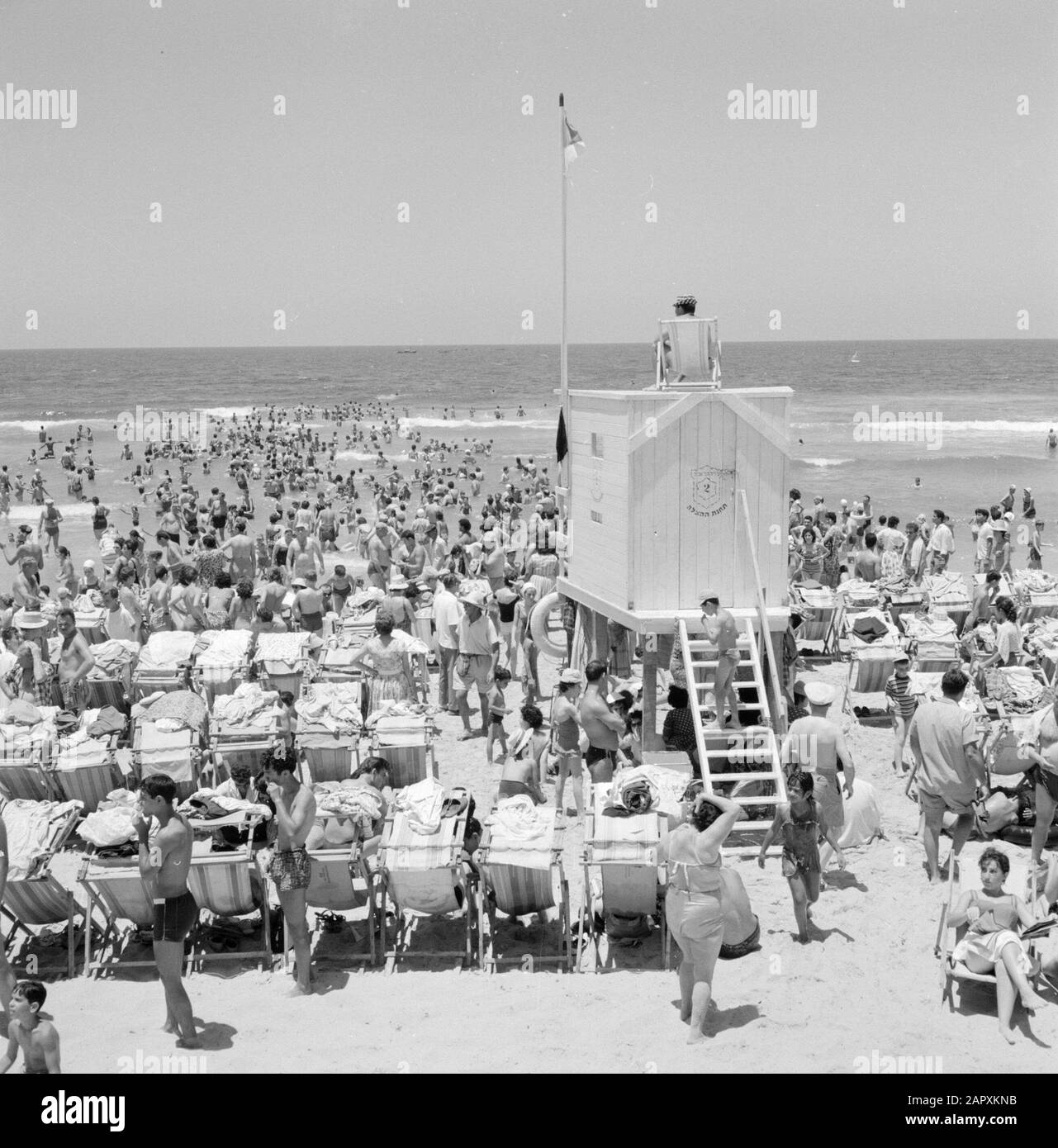 Israel 1964-1965: Tel Aviv, während des Sabbats zum Meer Tel Aviv. Belebter Strand am Sabbat mit Badegästen in Strandstühlen, in der Mitte Rettungsschwimmer auf dem Dach eines Aussichtspostes Anmerkung: Während des Sabbats wandern viele Menschen aus Tel Aviv zum Meer Datum: 1964 Ort: Israel, Mittelmeer, Tel Aviv Schlüsselwörter: Badegäste, Menschenmenge, Strände, Strandstühle, Rettungsschwimmer Stockfoto