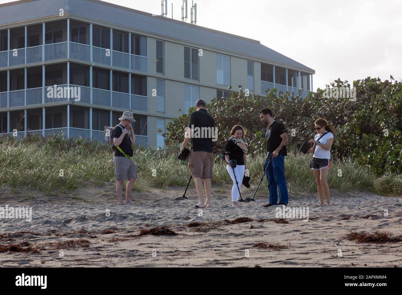 Eine Gruppe junger Leute scannt diesen Strand auf Hutchinson Island, Florida mit ihren Metalldetektoren auf der Suche nach einem verschütteten Schatz. Stockfoto