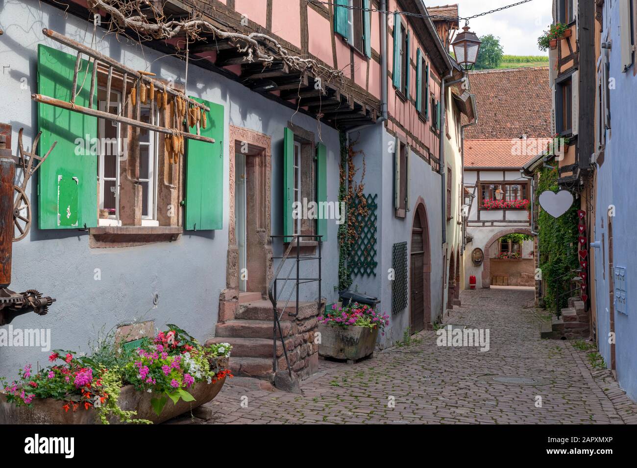 Historische Häuser in Gasse, Riquewihr, Elsaß, Frankreich Stockfoto