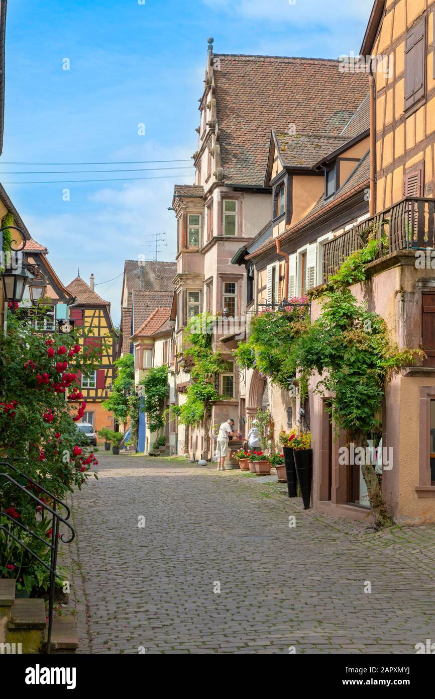 Historische Häuser in Gasse, Riquewihr, Elsaß, Frankreich Stockfoto