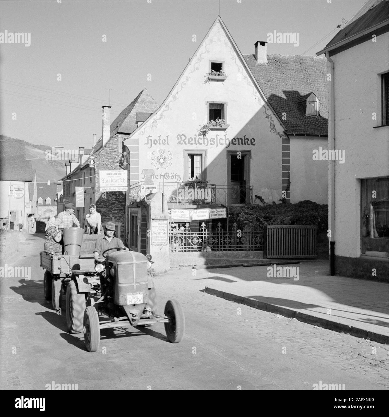 Mosel: Weinbauschlepper mit Traubenpflücker und Cockpit mit der Traubenernte in den Straßen von Kröv Datum: 1959 Standort: Deutschland, Kröv, Rheinland-Pfalz, Westdeutschland Stichwörter: Trauben, Landarbeiter, landwirtschaftliche Werkzeuge, Ernten, Straßenplastiken, Traktoren, Weinanbau, Wohnungen Stockfoto