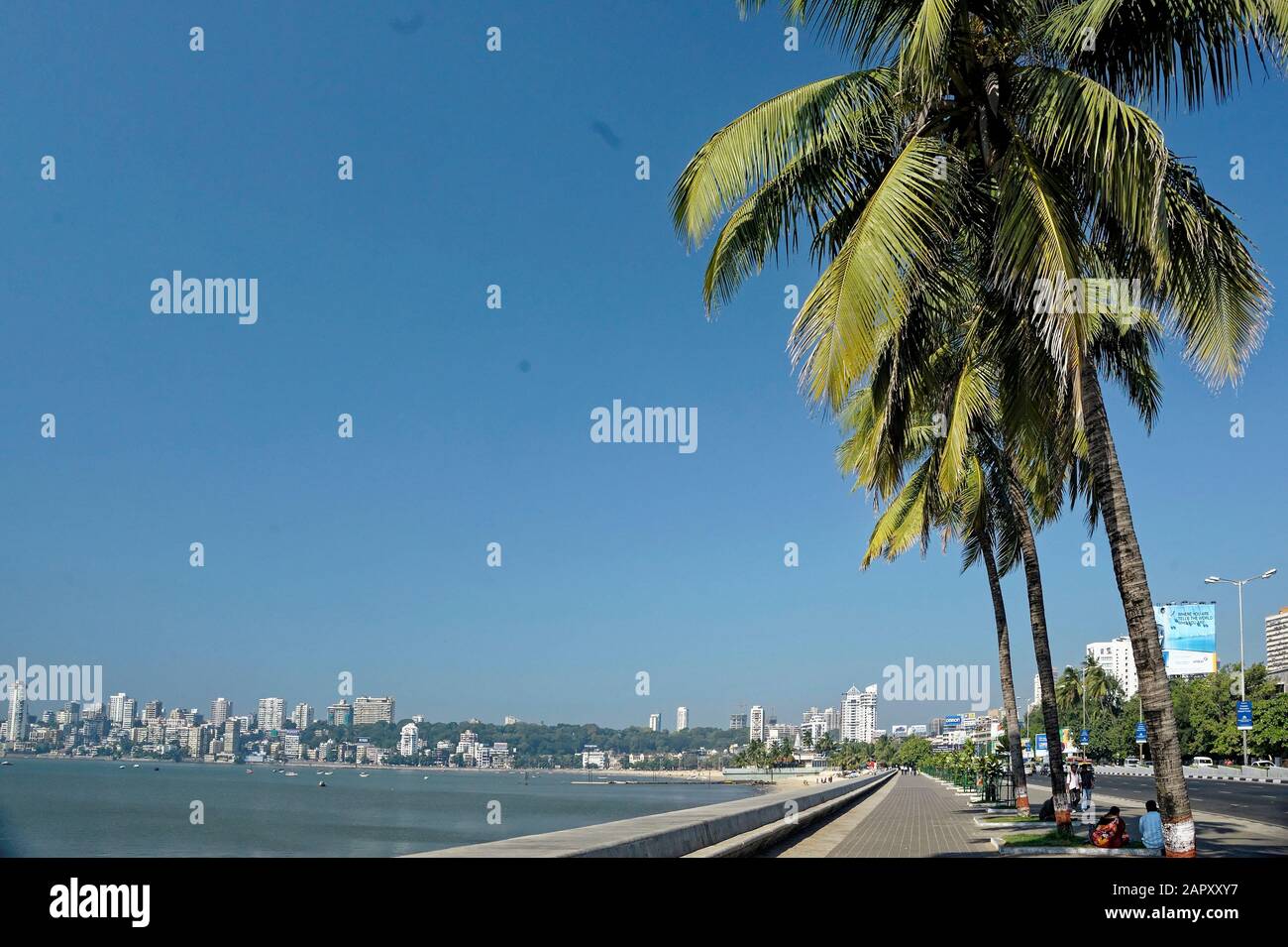 Palmen am Nariman Point Stockfoto
