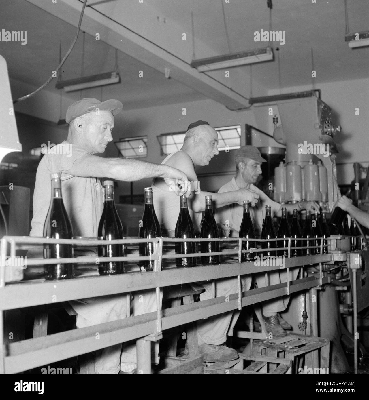 Wine Company Carmel Mizrachi Weingüter in Rishon le Zion. Arbeiter auf dem Fließband mit gefüllten Weinflaschen am Abfüllautomat Datum: 1. Januar 1960 Standort: Israel, Rishon le Zion Stichwörter: Arbeiter, Flaschen, Industrie, Lampen, Förderbänder, Maschinen, Weinanbau Stockfoto