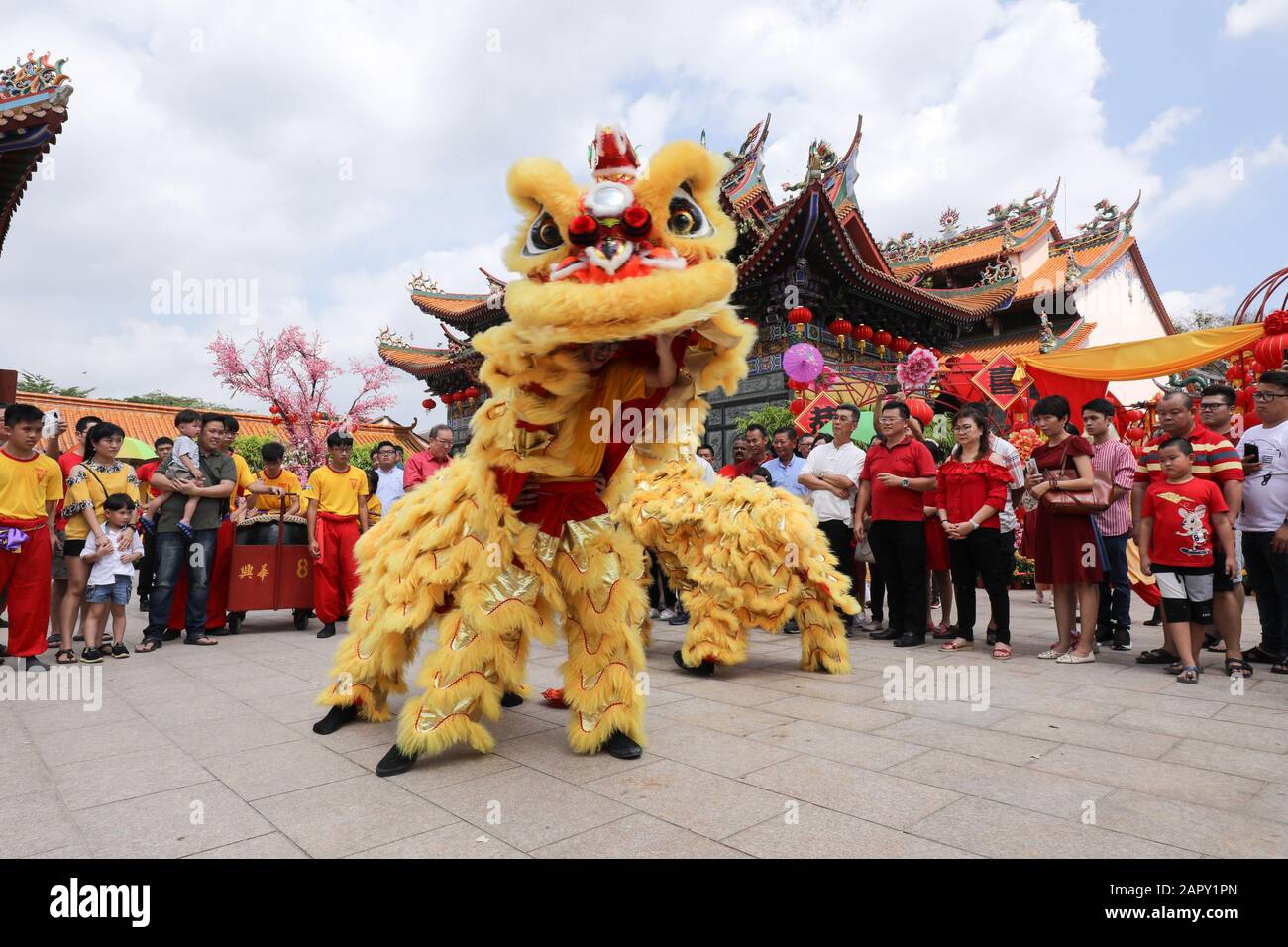 Klang, Selangor, Malaysia. Januar 2020. Lion Dance Troupe treten während der chinesischen Neujahrsfeier im Tempel auf. Das chinesische Lunar-Neujahr am 25. Januar wird das Jahr der Maus begrüßen. Kredit: Kepy/ZUMA Wire/Alamy Live News Stockfoto