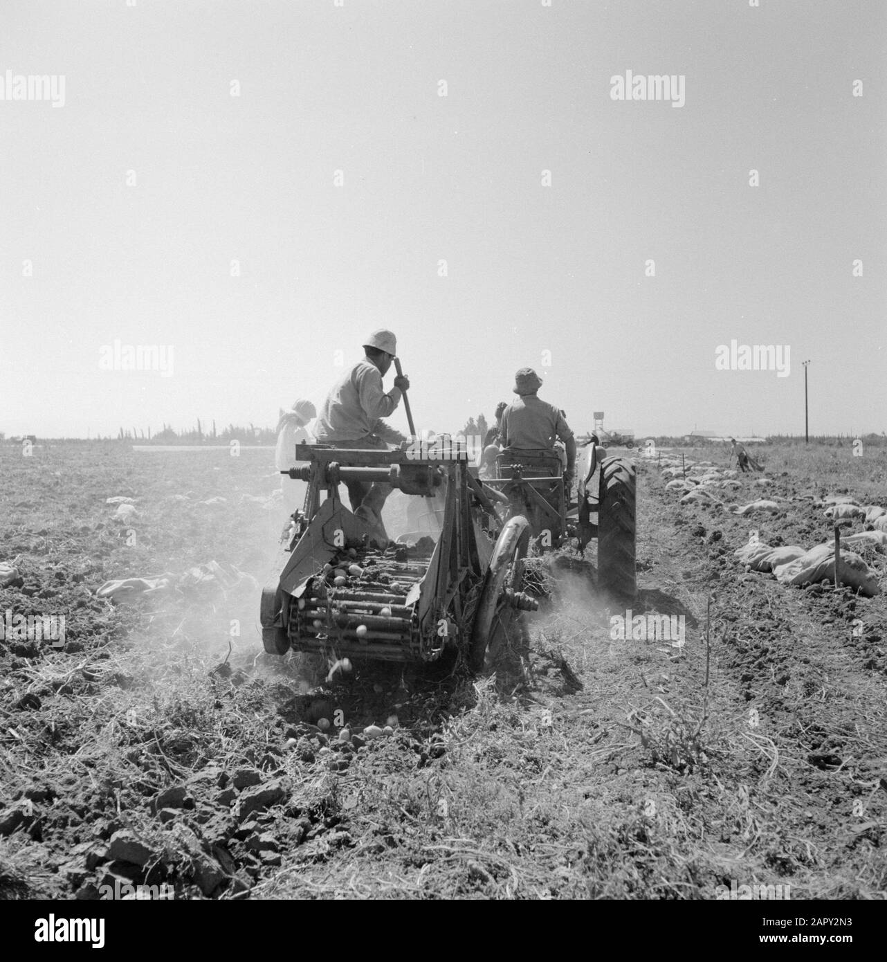 Blick auf die Kartoffelerntemaschine hinter einem Traktor Datum: 1. Januar 1964 Standort: Israel Schlüsselwörter: Kartoffeln, Landwirtschaft, Maschinen, Ernte, Ernte, Traktoren Stockfoto