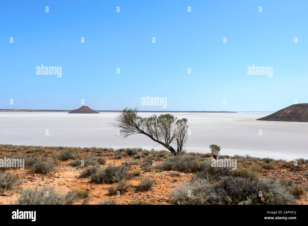 Malerischer Blick auf die Island Lagoon, einen ausgedehnten malerischen Salzsee in der Nähe Von Pimba, South Australia, Australien Stockfoto