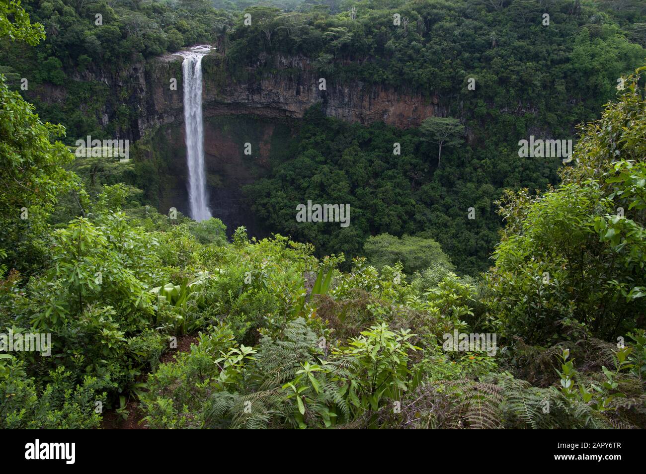 Cascade Chamarel oder Chamarel Wasserfall im Black River Gorges National Park auf Mauritius stürzt 80 bis 100 Meter durch Wald und Klippen Stockfoto