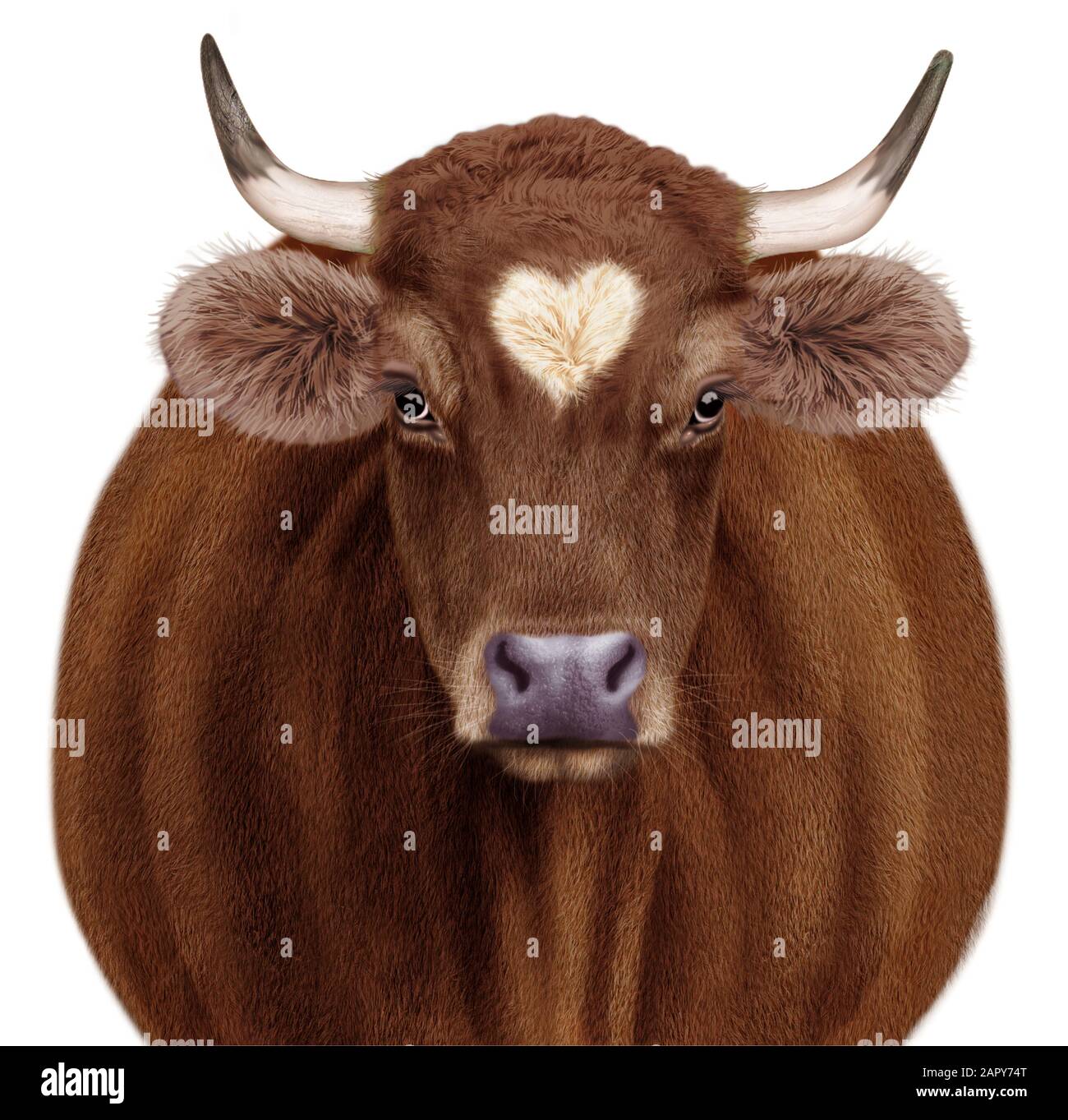 Illustration Kuh Gesicht realistisch Stockfoto
