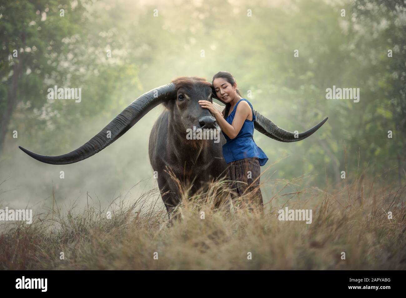 Thai Frau Bauer mit Buffalo Stockfoto