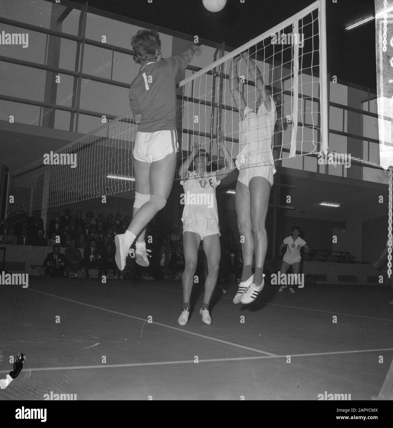 Volleyball in Tilburg, Damen Niederlande gegen Frankreich 3-0 Spielmoment in neuer Studenten-Sporthalle in Tilburg Datum: 23. Juni 1964 Ort: Noord-Brandant, Tilburg Schlüsselwörter: VOLLEBAL Stockfoto
