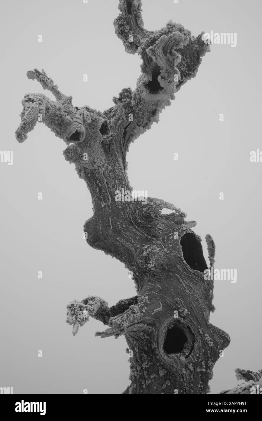 Frostige Landschaft mit Nebel Stockfoto Frostige Landschaft mit Nebel Stockfoto