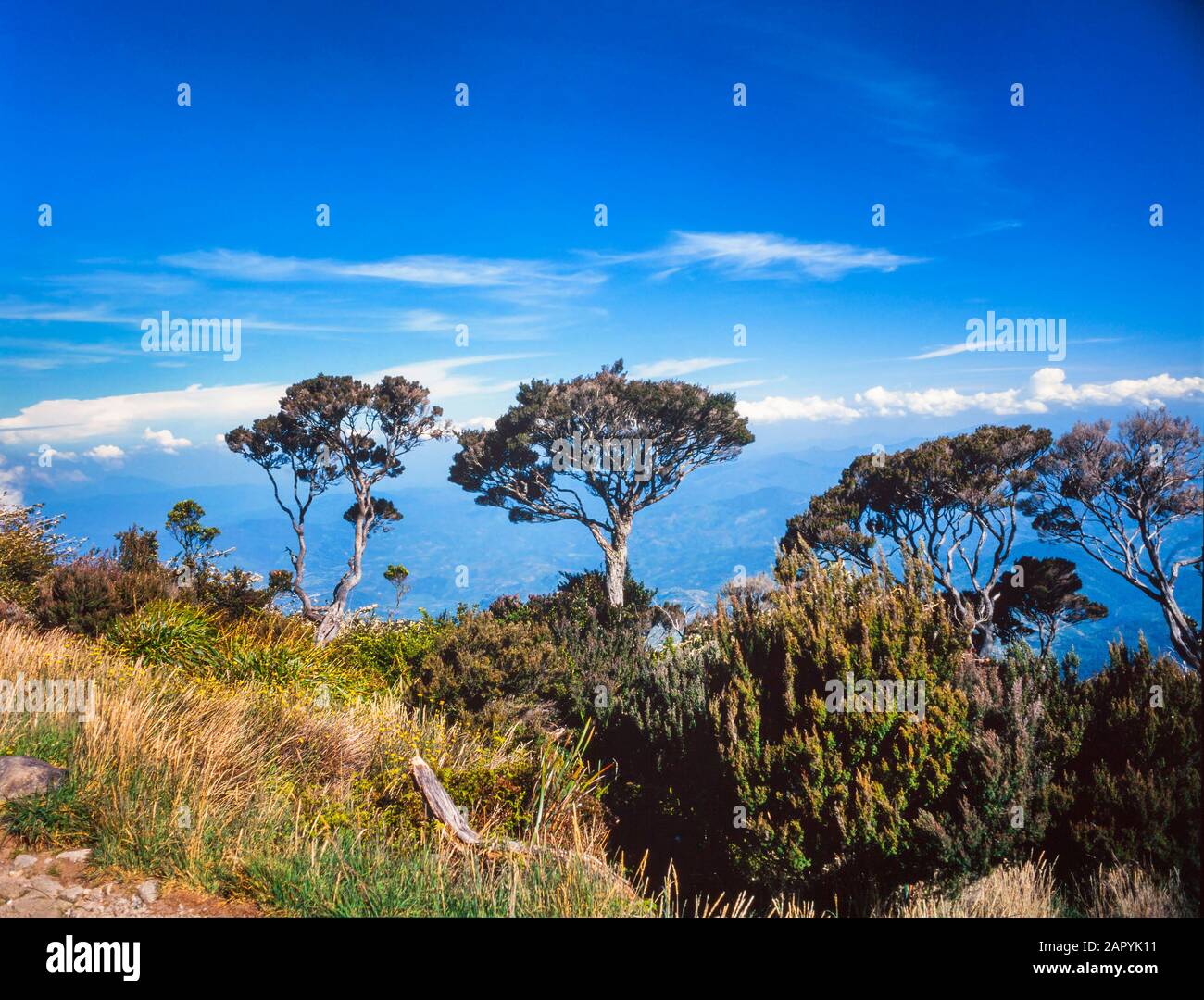 Mount Kinabalu Nationalpark, Sabah, Malaysia. Summit Trail, Ansicht von C3200 m Stockfoto