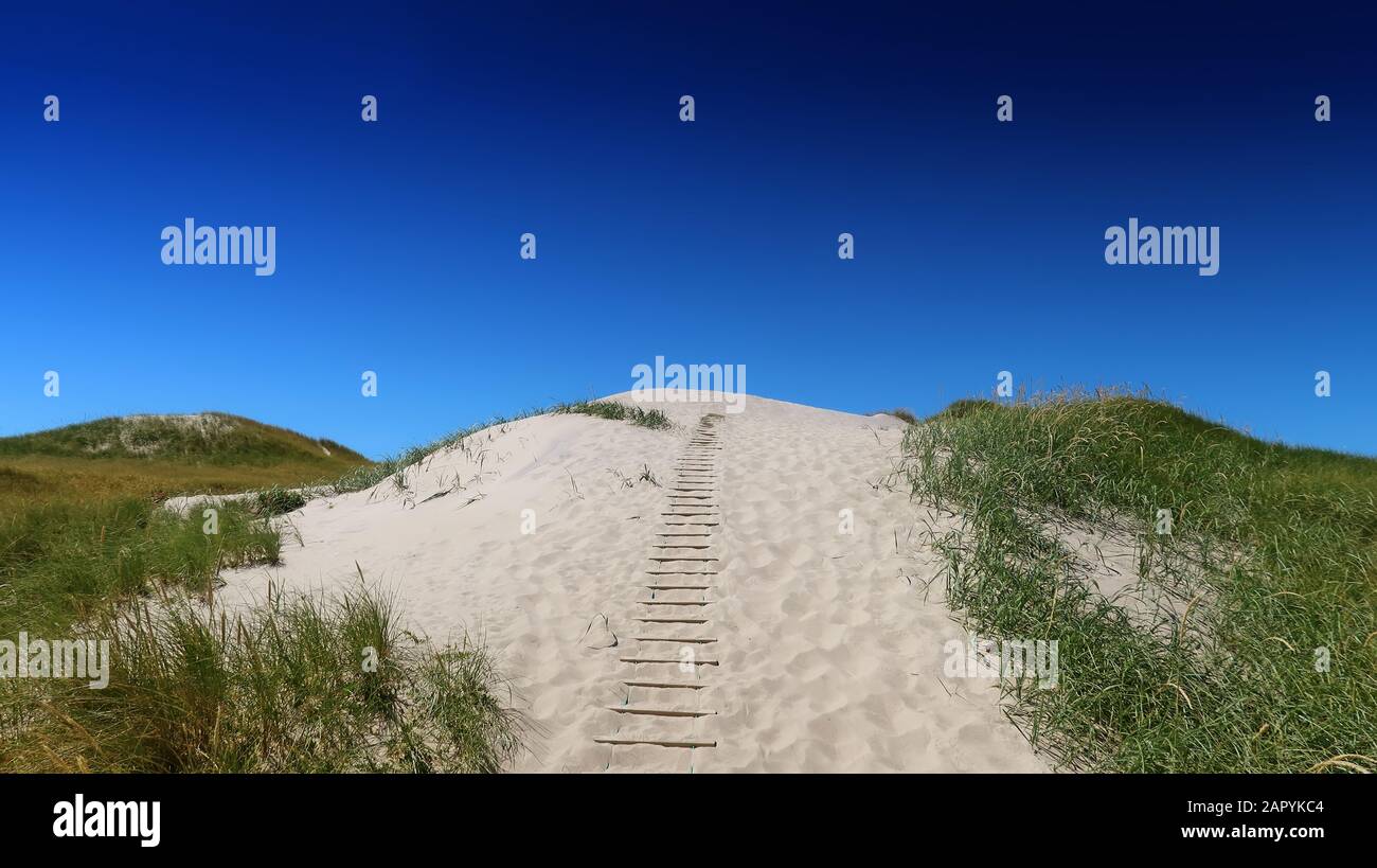 Schöne dänische Küste im Sommer Stockfoto