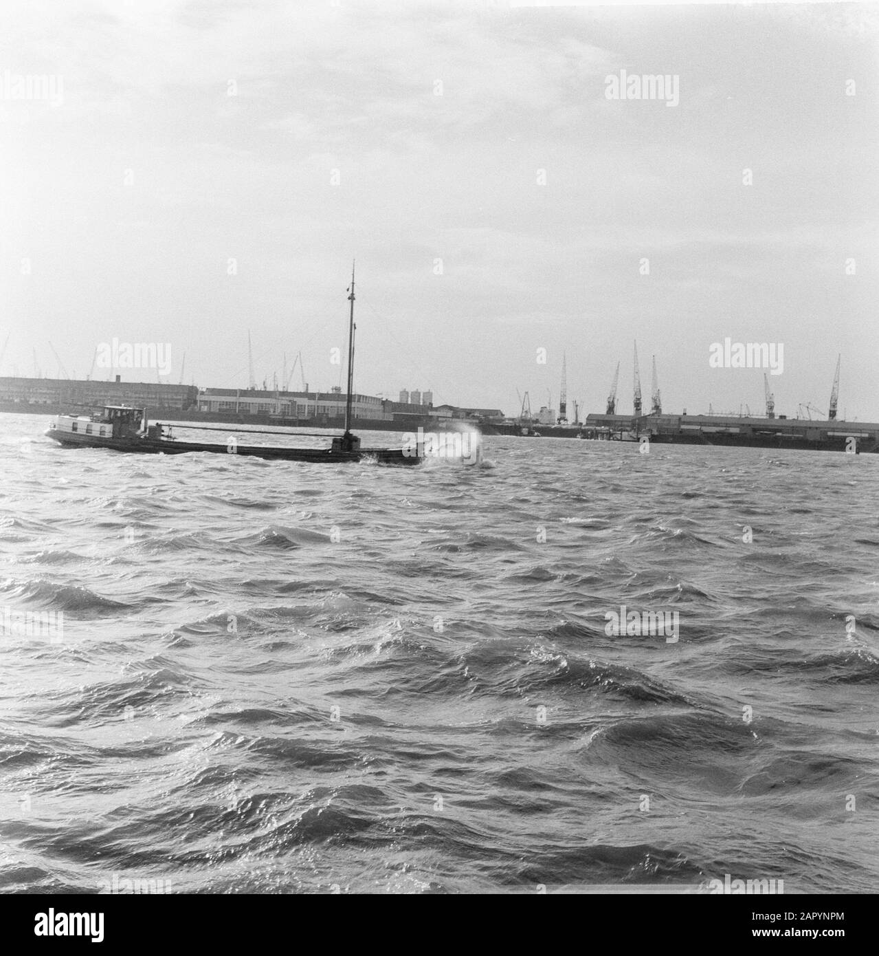 Sturm im Hafen von Rotterdam Datum: 3. November 1960 Standort: Rotterdam, Zuid-Holland Schlüsselwörter: Häfen, Unwetter Stockfoto