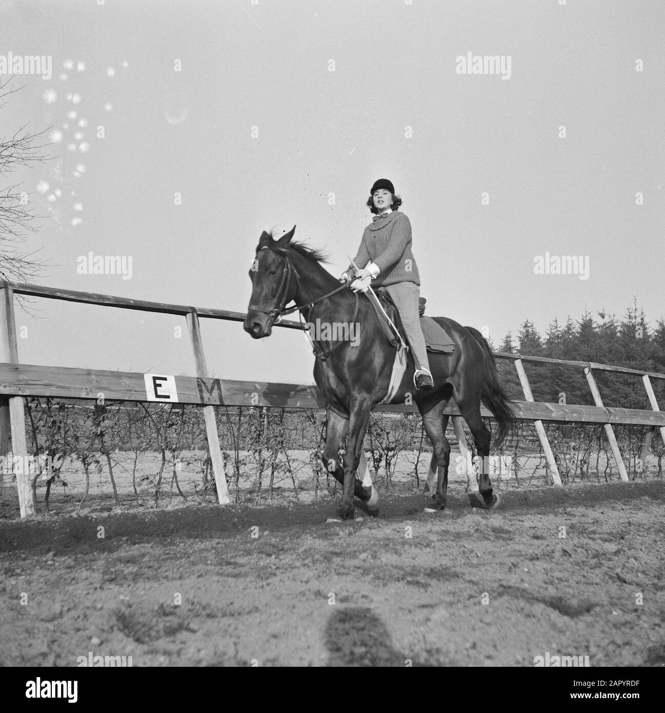 Pferdesport-Serie Datum: 26. Februar 1961 Schlagwörter: Reitsport-Serie Stockfoto