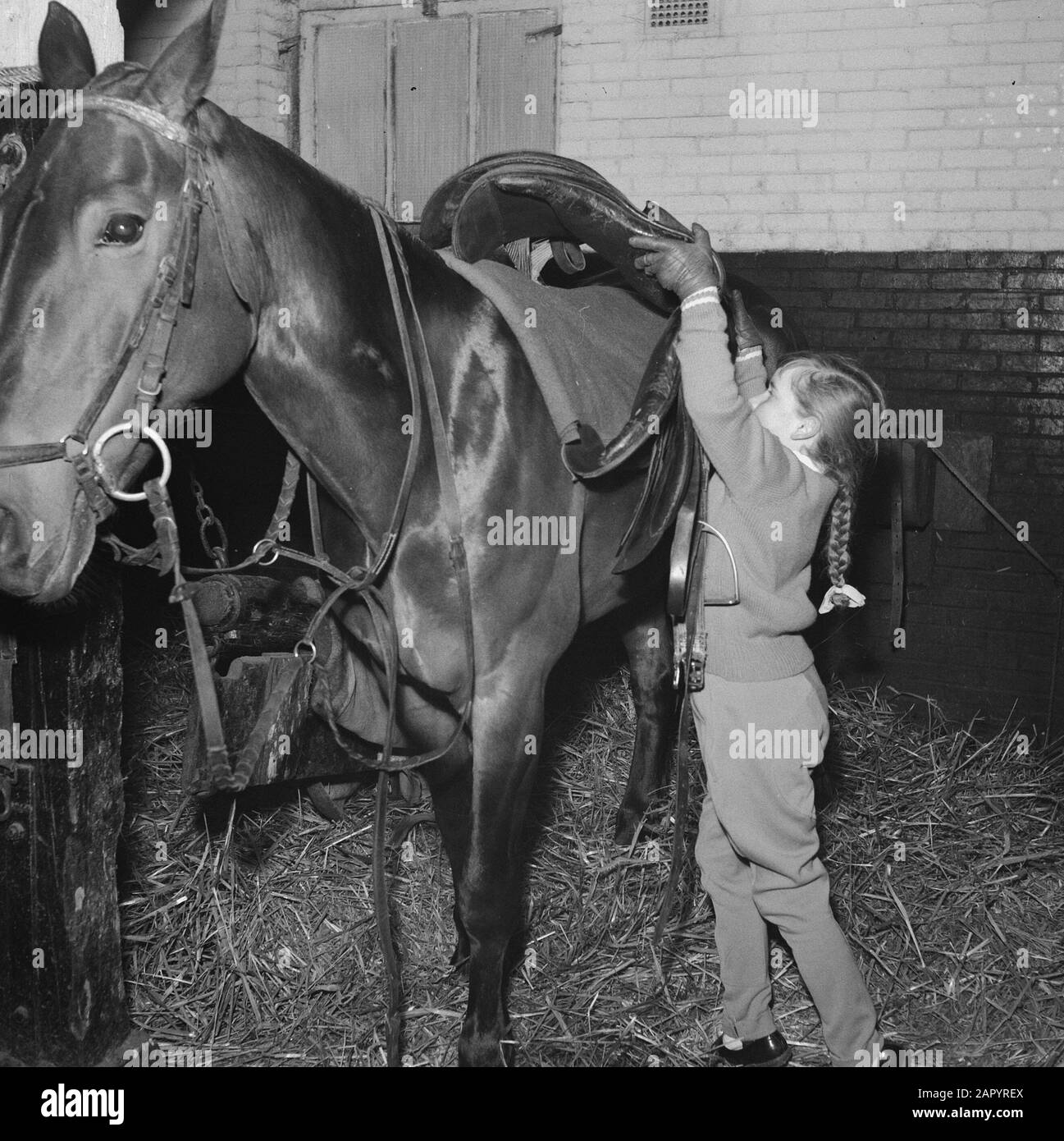 Pferdesport-Serie Datum: 26. Februar 1961 Schlagwörter: Reitsport-Serie Stockfoto