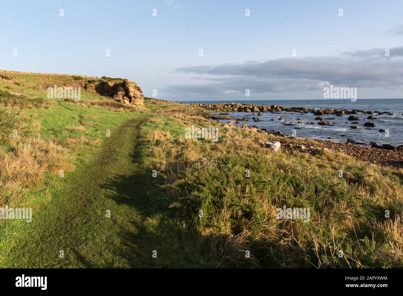 Fife Coastal Path, Schottland. Malerische Aussicht auf den Fife Küstenweg zwischen den Dörfern Anstruther und Crail. Stockfoto