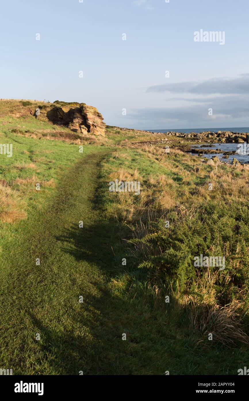Fife Coastal Path, Schottland. Malerische Aussicht auf den Fife Küstenweg zwischen den Dörfern Anstruther und Crail. Stockfoto