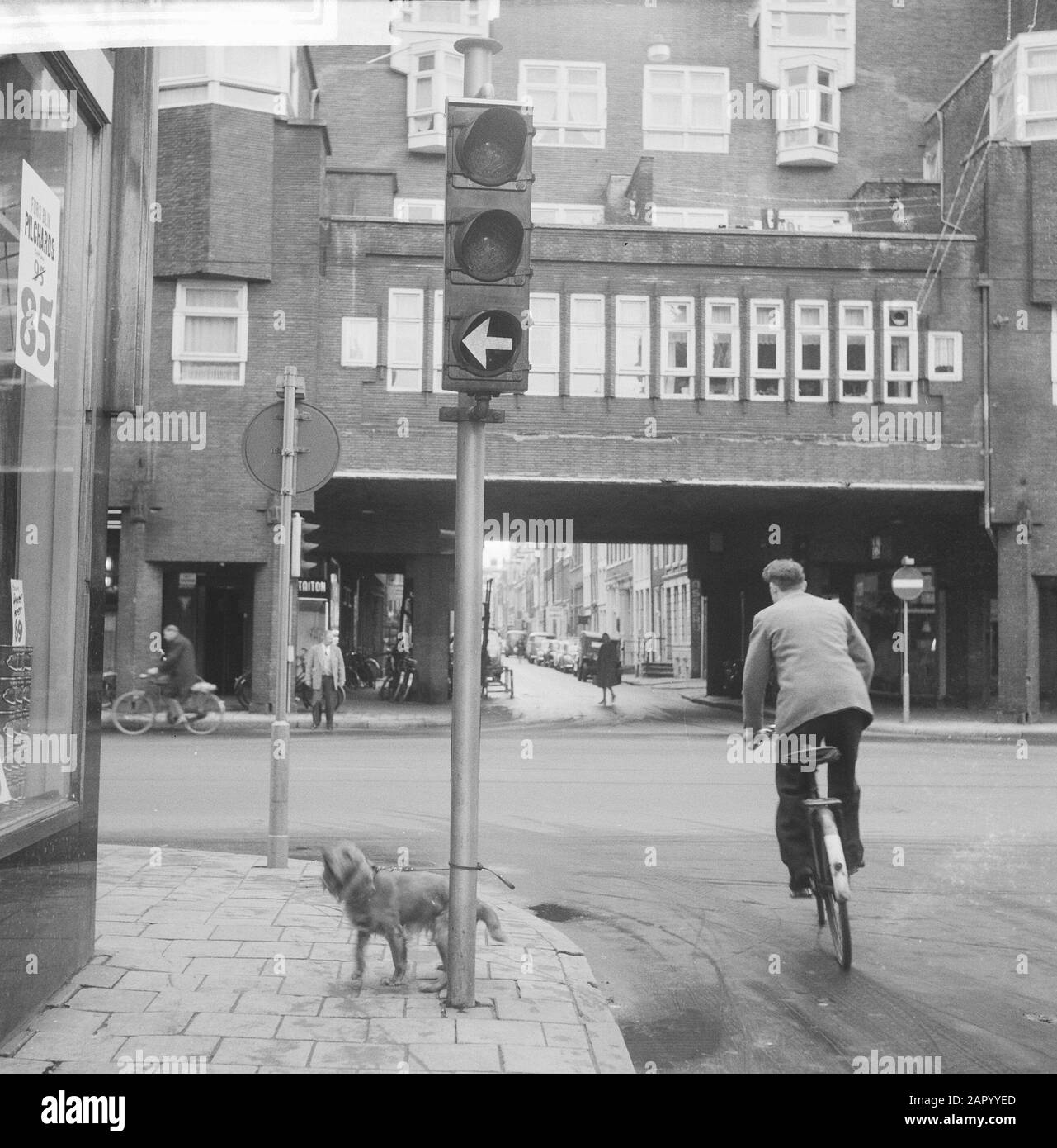 Hund an Ampelpfosten. Aufgabe News des Tages Datum: 21. Juli 1961 Schlagwörter: Aufgaben Stockfoto