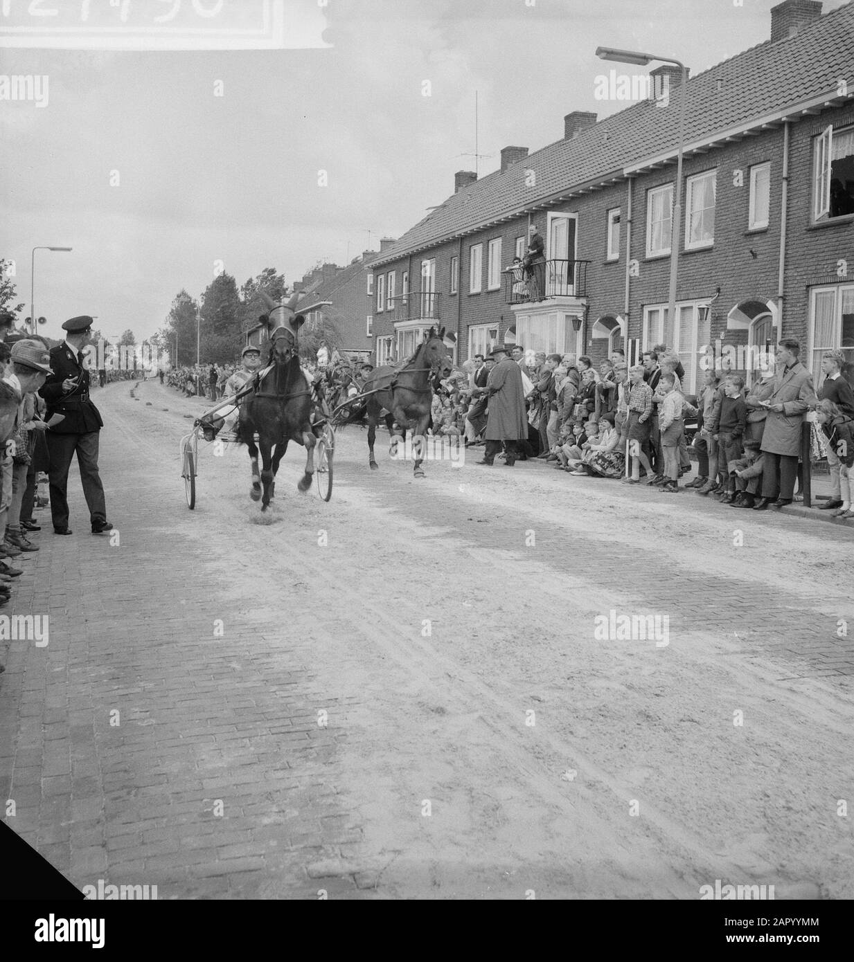Paardenmarkt in Voorschoten. Kurzkurs Championship Datum: 28. Juli 1961 Ort: Voorschoten, Zuid-Holland Stichwörter: CHAMPIES, Märkte, Pferde Stockfoto