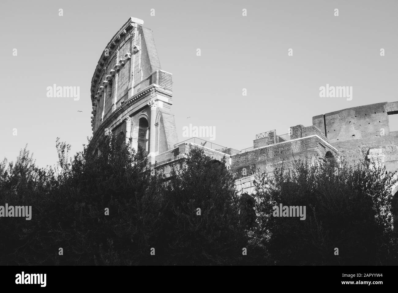 ROM, italien - 23. Dezember 2019: Das Kolosseum in Rom, Italien. Stockfoto