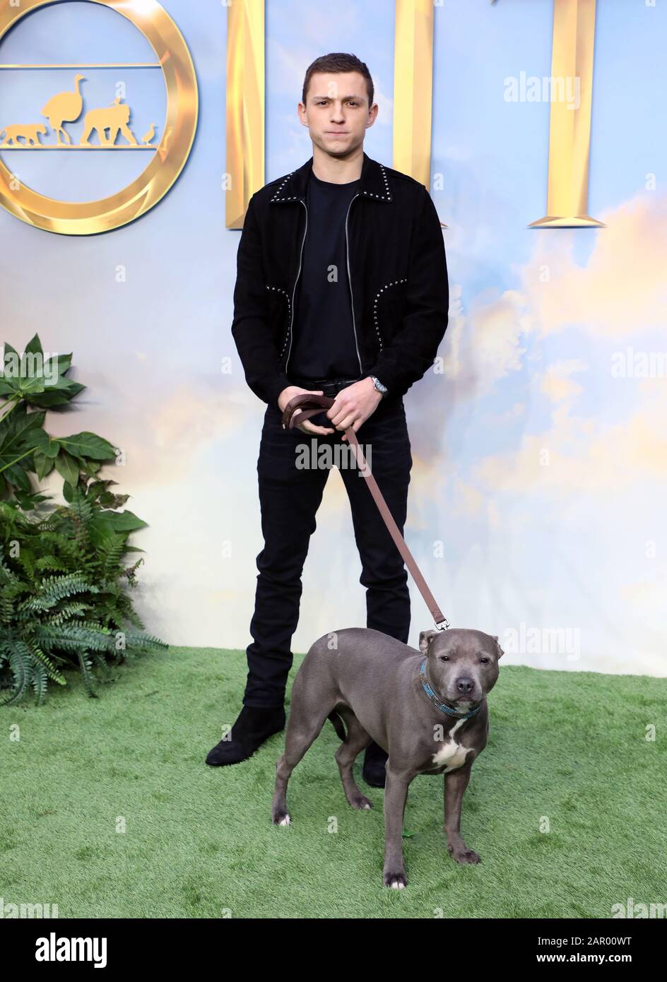 Tom Holland und sein Hund Tessa während Dolittle Premiere am Leicester Square, London. Stockfoto