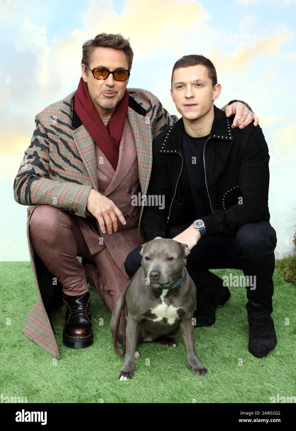 Robert Downey, Jr. (links) Tom Holland und sein Hund Tessa während Dolittle Premiere am Leicester Square, London. Stockfoto