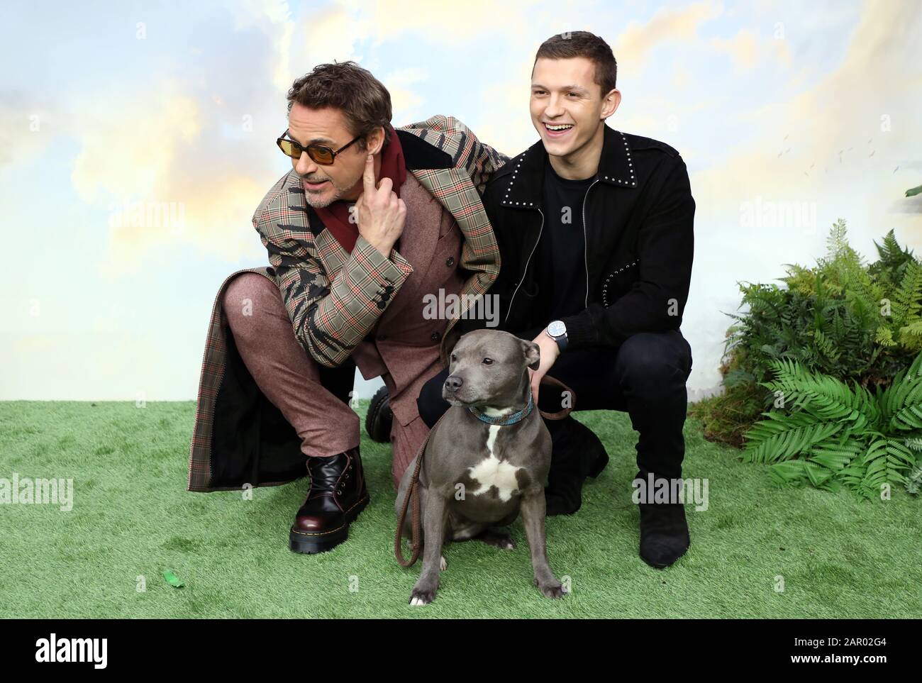 Robert Downey, Jr. (links) Tom Holland und sein Hund Tessa während Dolittle Premiere am Leicester Square, London. Stockfoto